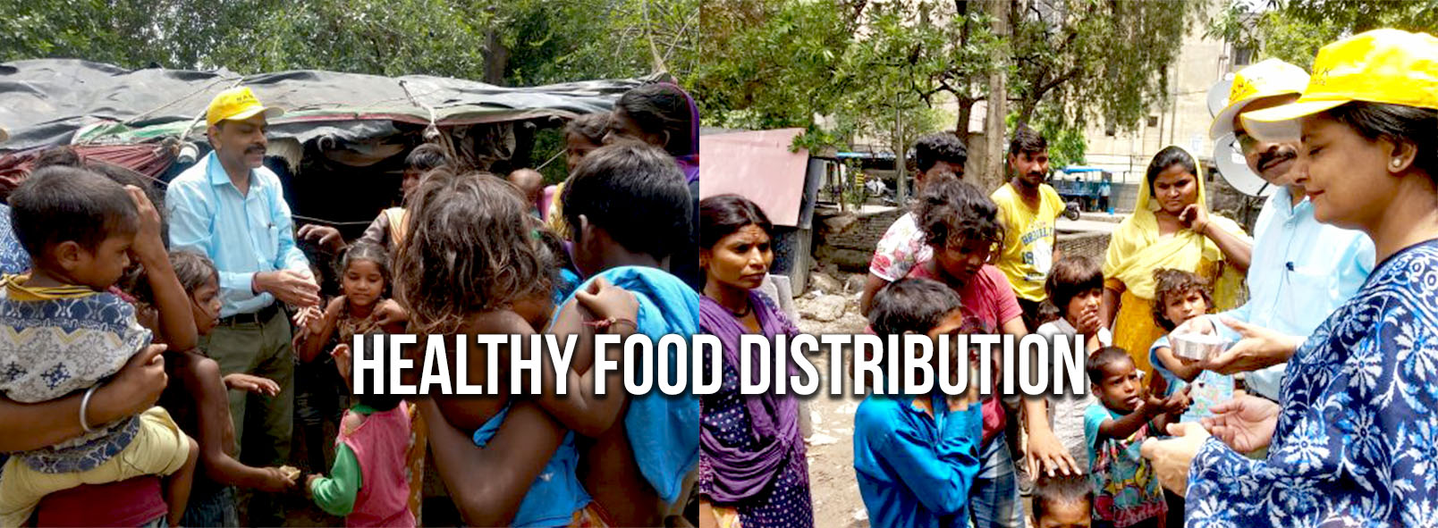 HEALTHY FOOD DISTRIBUTION